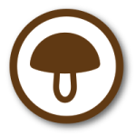 [cml_media_alt id='10877']ESCURSIONI-RICERCA-FUNGHI[/cml_media_alt]