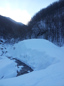 [cml_media_alt id='11438']Tanta neve alla base del Gottero[/cml_media_alt]