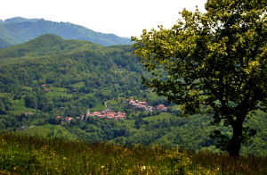 Il paese di Caneso, visto dal Monte Segalino