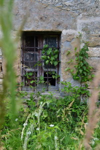 porta