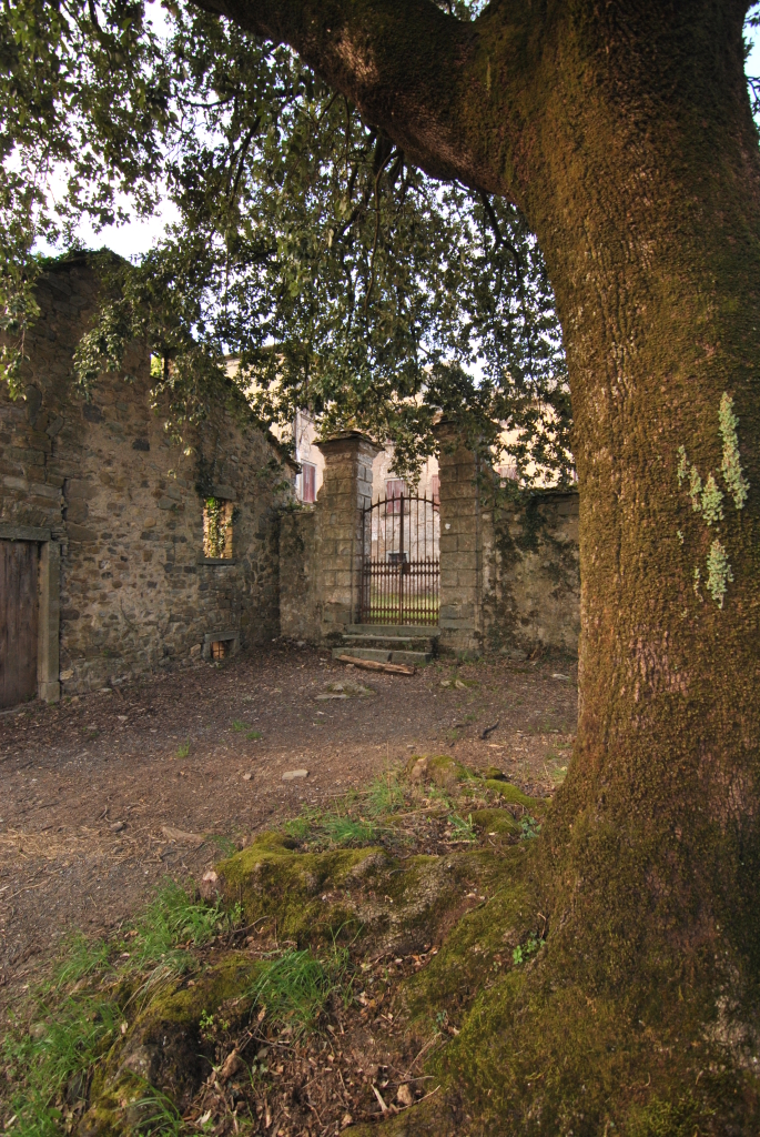 DSC  e