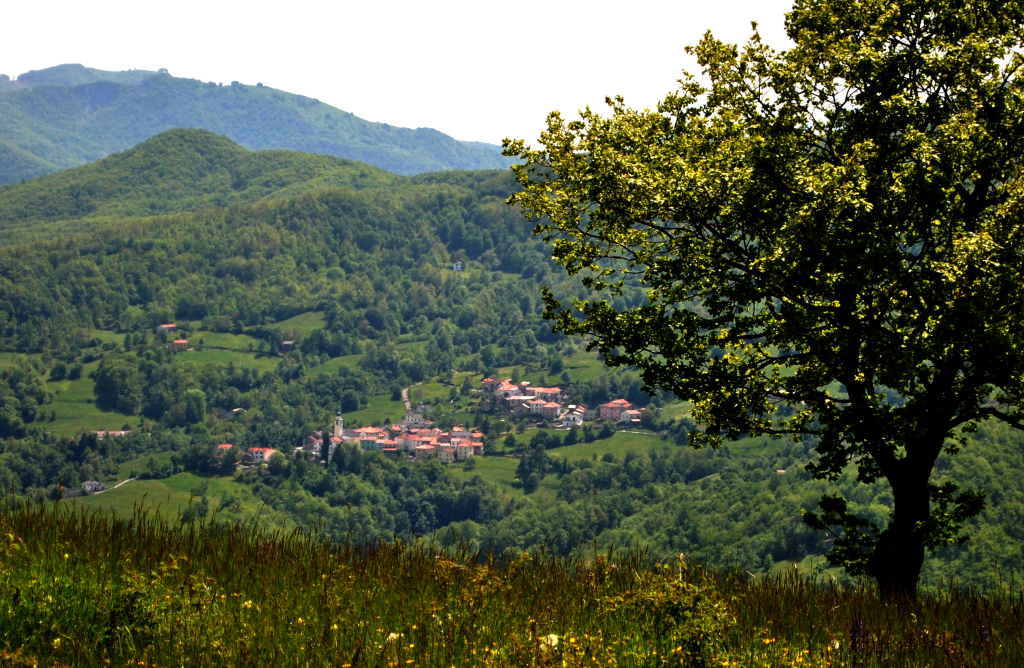 Caneso dal Segalino e