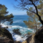 DA FRAMURA A LEVANTO, ATTRAVERSO SPETTACOLARI SENTIERI A PICCO SUL MARE