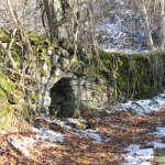 Gatta sul sentiero delle cascate