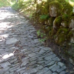 La via degli Abati