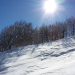 Fine del bosco salendo verso il pelpi