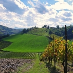 ParcodelPiacenziano,vitigniarearioStramonte fotoCesarePozzoli