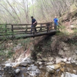 Ponte in Legno sul Rio Golotta