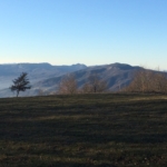 Vista sul grupp del M.Menegosa dalla cima del Dosso