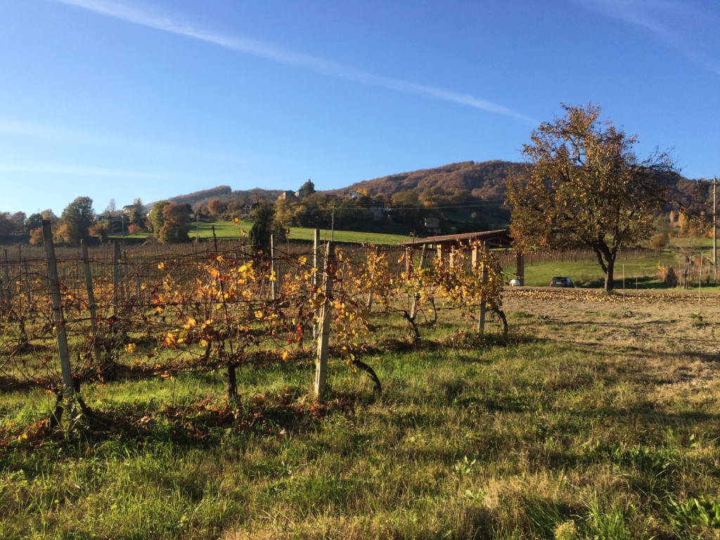 Vigneti e colline di Serravalle