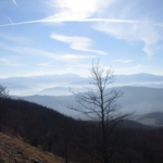 Panorama dall'antecima del M.Dosso