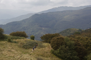 camminanti