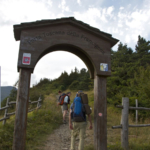 porta Via Francigena