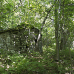 le case nascoste nel bosco