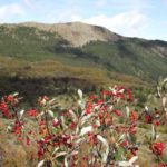 Monte Capra e Sant'Agostino