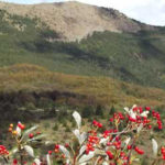 Monte Capra e Sant'Agostino