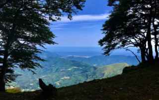 Il golfo del Tigullio visto dal Ramaceto