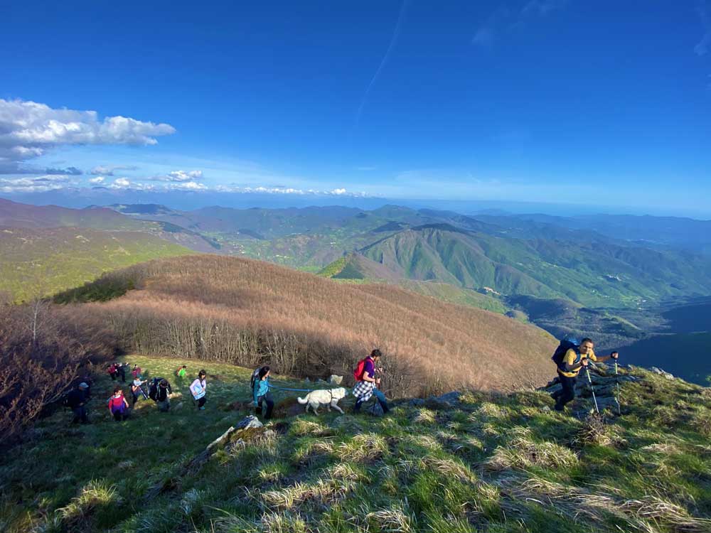 Il crinale del Monte Gottero