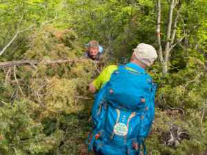 Sentiero dei Celti e dei Liguri