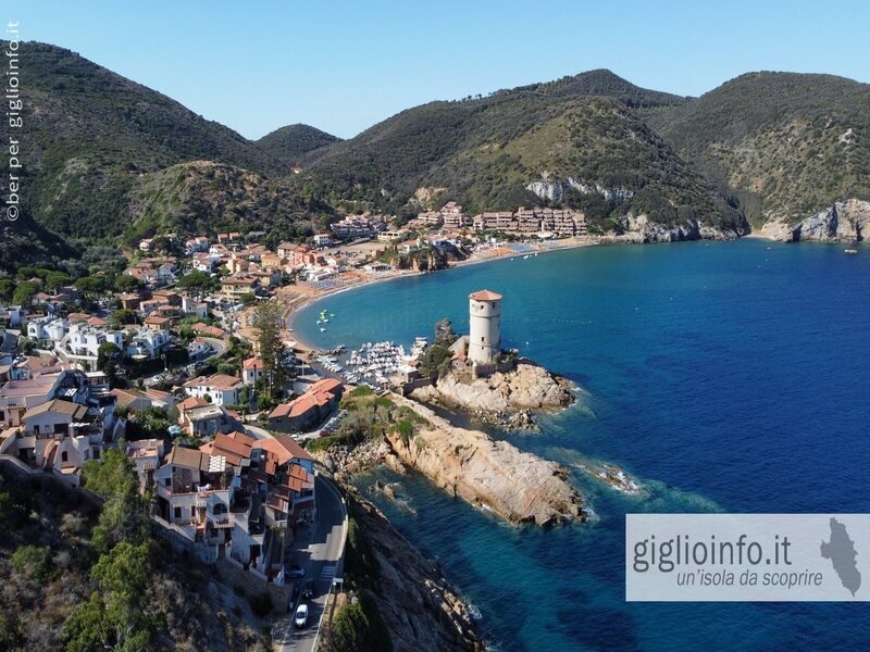 Giglio Campese