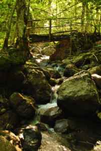 Il Rio della Rocchetta