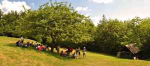 grande melo sopra alla Rocche di Drusco